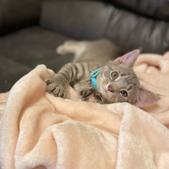 Meet your Posher, Ilgin - Picture 4 of 4